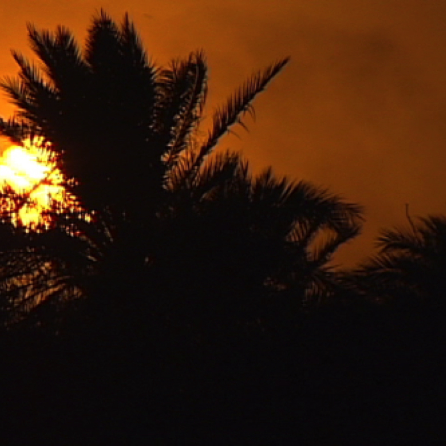 Sunset. in Iraq